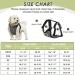 Slowton XXS Dog Harness with Safety Belt for Car - Breathable Latex Puppy Harness for Everyday Sports - Gray - Buy Online on GoSupps.com