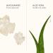 SHANI DARDEN SKINCARE Retinol Reform Duo - Anti-Aging Resurfacing Serum for Face & Neck | Full & Travel Size | Fine Lines & Wrinkles Treatment - Buy Online on GoSupps.com