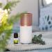 Primavera Aroma Nebulizer Traveller - Wireless Compact & Versatile Electric Diffuser for Room Fragrance & Aromatherapy - Buy Online on GoSupps.com