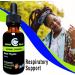Cedar Bear Sinus Thyme - Liquid Herbal Supplement for Clear Sinuses & Immune Support | 1 fl oz (30 ml - Buy Online on GoSupps.com