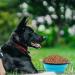 Slson 2-Piece Foldable Dog Travel Bowl Set | 1000ml Safe Pet Water & Feed Bowls with Carabiners for Cats & Dogs - Light Blue - Buy Online on GoSupps.com