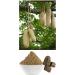 Balam Kheera Churan Ayurv dique 100 g (lot de 4) - Buy Online on GoSupps.com