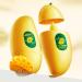 Hand Cream Mango Hand Milk Mango Moisturizing Hand Cream For Dry Cracked Hands And Skin Fruit Hand Lotion With Natural Plant Fragrance Moistured Nourishing Hand Cream Korean Skin Care - Buy Online on GoSupps.com