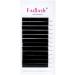 Auto Blooming Fadlash Easy Fan Lashes DD Curl 0.05 13-16mm Mixed Length Russian Volume Eyelash Extensions - Natural Look Self Fanning Lashes - Buy Online on GoSupps.com