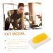 2pcs Fat Model Models Manikin Sugar Bowl 1 Pound Body Fat Replica Human Body Module - Buy Online on GoSupps.com