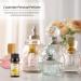 2pcs Lemon + Peppermint 10ml Essential Oils Set - 100% Pure Aromatherapy Kit - Buy Online on GoSupps.com