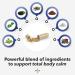 LifeSeasons Anxie-T Stress Support | 60 Vegetarian Capsules for Natural Anxiety Relief - Buy Online on GoSupps.com