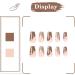 24Pcs Medium Long Coffin Fake Nails - Brown Ballerina Glossy Acrylic with Star Designs | False Stick on Nails for Women - Buy Online on GoSupps.com
