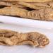 Angelica Sinensis Chinese Angelic Chinese Angelica Root Radix Angelicae Sinensis Angelica Sinensis Diels dang GUI Dong Quai (500 g(1.10 Pound)) - Buy Online on GoSupps.com
