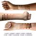 Fièra Luxury Concealer with Anti-Aging All Day Coverage for Dark Circles Fine Lines Wrinkles & Spots - 3W Medium - Buy Online on GoSupps.com