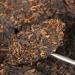 HELLOYOUNG 380g de g teau de th Pu'er m r bio chinois naturel de grand arbre Aliment vert avec une saveur pure et intense Th pu-erh Pu'er Tea - Buy Online on GoSupps.com