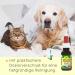 Buy MilbenEx Ear Cleaner 50 ml - Effective Ear Care Solution for Pets | International Shipping Available - Buy Online on GoSupps.com