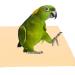 10Sheets Bird Cage Liners Sandpapers Disposable Parrot Bird Cage Cushion Pad Mat Pet