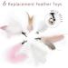 Interactive Cat Toys Set - Songway Retractable Feather Stick with 6 Replacement Springs & Bells - Spring Angel Cat Toy - Perfect for Playtime - Pink - Buy Online on GoSupps.com
