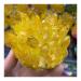 Natural Crystal Cluster Electroplated Yellow Crystal Cluster Reiki Stone Crystal Tip House Decorative Specimens Cr ERBDRGAZ 1pc