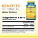 Nature's Life Niacinamide 1000 mg - 100 Tablets | Boost Skin Health & Energy - Buy Online on GoSupps.com