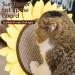 Sunflower Cat Scratching Post - Interactive Sisal Scratcher Board for Kitten & Cat | 18x12 Inch - Buy Online on GoSupps.com