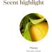 Young Living Thieves Essential Oil Blend 5ml | 100% Pure Aromatherapy Diffuser Oil with Rosemary Cloves & Lemon | Optimal for Health & Wellness - Buy Online on GoSupps.com