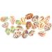 40 Pcs Leopard Earrings for Women Beach Spiral Craft Charms Beads for Bracelets Flower Earrings for 1.9x1.6x1cmx3pcs Colorfulx3pcs - Buy Online on GoSupps.com