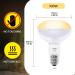 Luxvista 2Pack 100W Reptile Heat Lamp Bulb E27 Basking Bulb Warm White Light Heat Bulb Dimmable Heat Lamp for Puppies/Reptiles/Lizards/Tortoise/Chicks/Amphibian/Bearded Dragon 2700k Warm White 2pack E27 Heat Bulb - Buy Online on GoSupps.com