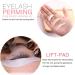Professional Eyelash Lifting & Tint Kit | 3-in-1 Eyebrow Tinge Set - Lasts 6-8 Weeks | Complete Salon Tools (Black) - Buy Online on GoSupps.com