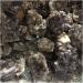 for Natural Gem Smoky Quartz Cluster Crystal Spiritual Products for Decoration - Buy Online on GoSupps.com