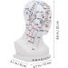 Frcolor Acupuncture Point Model - Realistic Medical Head Massage Aid for Schools & Hospitals | PVC Learning Tool 22x12x8cm - Buy Online on GoSupps.com