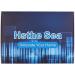 Hsthe Sea 6 pieces metal toothpaste squeezer squeeze tube stainless steel tube squeezer key roll tube creams colour squeezer tool for bathroom - Buy Online on GoSupps.com