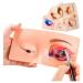 Eyelash-Make-Up Show Top Puppy head the perfect aid for exercising make-up face make-up a window doll silicone exercise silicone-up-up window doll