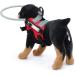 Pet Blind Halo Lightweight Practical Collision Avoidance Harness with Reflective Effect for Blind Dogs Cats (ZJchaowze0xh9v6q-12) - Buy Online on GoSupps.com