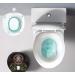 Folding Toilet Sitz Bath for Pregnant Women & Hemorrhoid Care - Green - Buy Online on GoSupps.com