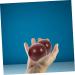 Buy Gleavi Handball Wooden Balls - Perfect for Hand Exercises Health & Massage Fitness - Portable Gymnastics Tool - Buy Online on GoSupps.com