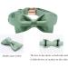 Shop Lionet Paw's Comfortable Silk Green Dog Collar with Removable Fly for Large Dogs - Neck Size 40-60cm - 1 Pack - Buy Online on GoSupps.com