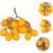 ABOOFAN Faux Fruit Decor Realistic Simulated Small Tomatoes Cherry Home Decor Fruit Home Ornament Party Decor Photography Props Home Supplies Foam Window Early Teaching Aids Yellow 4.00X2.00X2.00CM - Buy Online on GoSupps.com