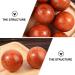 Lurrose 4 Piece Solid Wood Massage Balls - Chinese Acupuncture Baoding Balls for Hand & Foot Massage | Health & Wellness Exercise - Buy Online on GoSupps.com