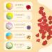 Five Stars 30 Pcs 5 Different Fragrances Bath Balls Essential Oils Aromatherapy Bath Balls Kids Bath Balls - Buy Online on GoSupps.com