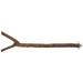 Trixie 5877 Natural Living Perch Y-Shape 35 cm/ 18 mm Brown 35 cm/ 18 mm