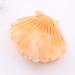 Women Acetate Shell Hair Clip - Fashion Half Updo Hairpin Accessory in Yellow | International Shipping - Buy Online on GoSupps.com