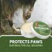 Dog Paw & Nose Balm 60ml - All Season Protection with Organic Beeswax & Coconut Oil - Buy Online on GoSupps.com