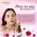 Rosehip Oil for Skin - Buy Online on GoSupps.com