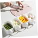 Alipis 6 Pcs Storage Box with Handle Cereal Refrigerator Organizer Keeper Kitchen Food Organizer re-usable - Buy Online on GoSupps.com