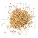 Fenugreek Seeds  2.5 Pounds  Non-GMO Verified  Whole  Raw  Sproutable  Vegan  Kosher  Bulk Methi  Good Source of Dietary Fiber  Protein  Iron  Copper  Magnesium  and Vitamin B-6  Great for Pickling  Vegetable Dishes  and  - Buy Online on GoSupps.com