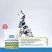 Revive Active - Enzymatic Dental Wafers for Medium-Large Dogs 14ct Prevents Plaque and Tartar Antiseptic Reduces Bacteria Improves Hygiene Oral of your Dog. - Buy Online on GoSupps.com