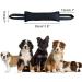 Dongker Dog Bite Sausage - 30cm Tug Toy for K9 Training | Durable Two Loops Reflex Handle for Obedience & IPO - Buy Online on GoSupps.com