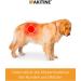 Vetoquinol Ipakitine Powder 300g - Renal Health Supplement for Cats & Dogs - Fast International Shipping - Buy Online on GoSupps.com