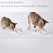 Lorde Ceramic Slow Feeder Cat Bowl - Interactive Bloat Stop Puzzle for Healthy Eating | Dog & Pet Slow Feeding Bowl - Buy Online on GoSupps.com