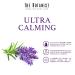 The Botanist Lavender + Mint Body Wash 400ml - Refreshing Skincare for All Pack of 1 - Buy Online on GoSupps.com