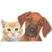 Buy Horse-Direkt Pure Salmon Oil for Dogs Cats & Horses | Omega-3 Rich BARF Oil 1L - Buy Online on GoSupps.com