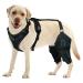 FXNFXLA Dog Knee Brace for Anterior Cruciate Ligament Tear, Dog Knee Brace for Patella Luxation Support, Cruciate Ligament Injury