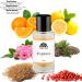 Monac - Creed's Collection - Niche Inspired Perfume - Eau de Parfum - 50 Ml 95%-99.9% similar Long Lasting 8-15 hours (Explorer inspired by Creed Viking (M)) - Buy Online on GoSupps.com